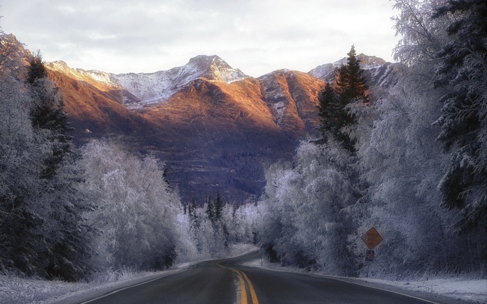 Winding road through a snowy forest towards sunlit mountains