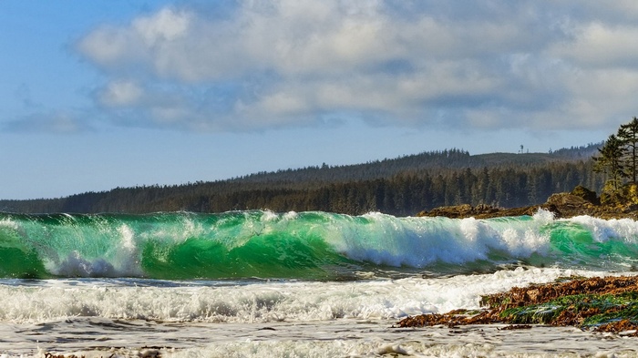 Green wave crashing on a rocky shore with forest background