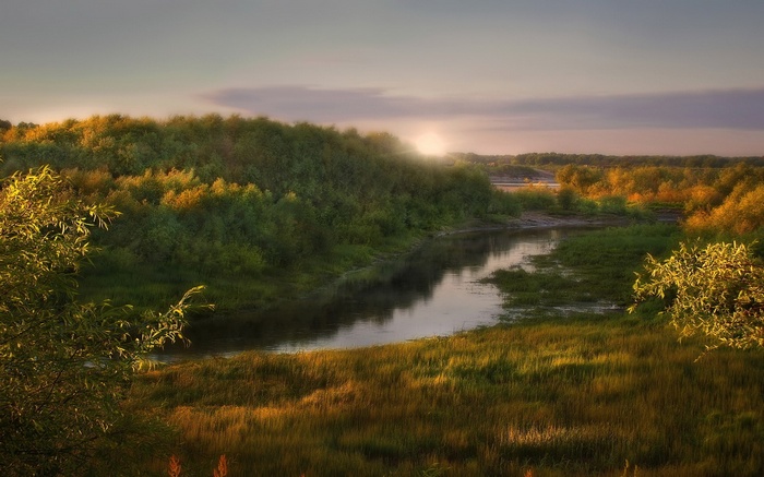 River flowing through a sunlit forest at dawn