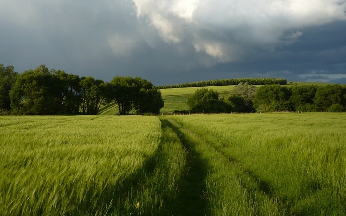 A dirt path through a green field under a stormy sky