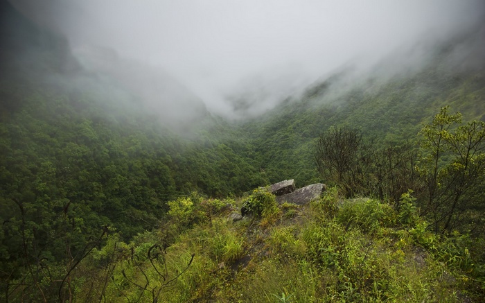 Misty Mountain Valley with Green Forest