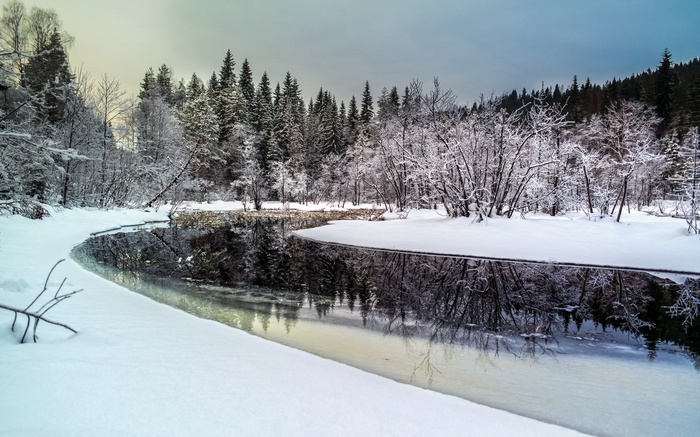 Snowy forest with a winding river reflecting trees