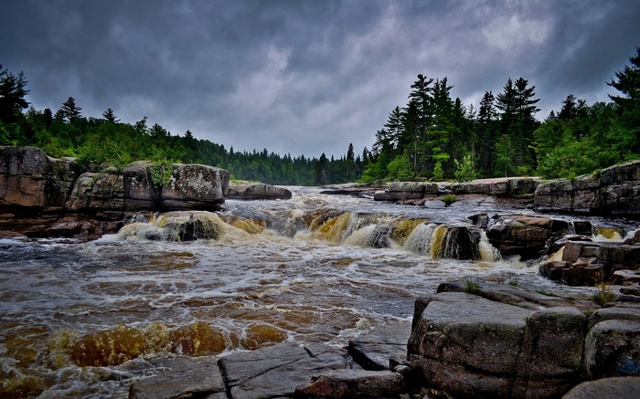 River rapids flowing through rocky terrain with trees