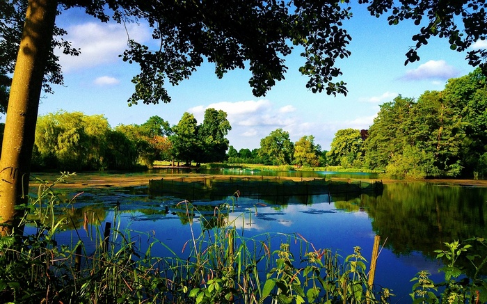 A tranquil lake surrounded by lush green trees under a blue sky