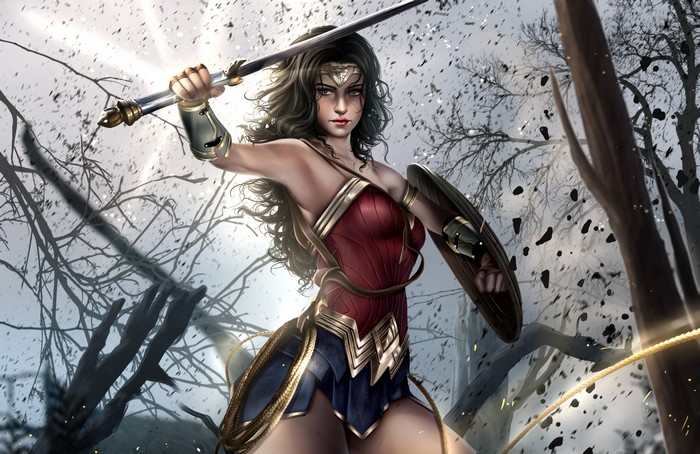 Wonder Woman in battle with sword and shield