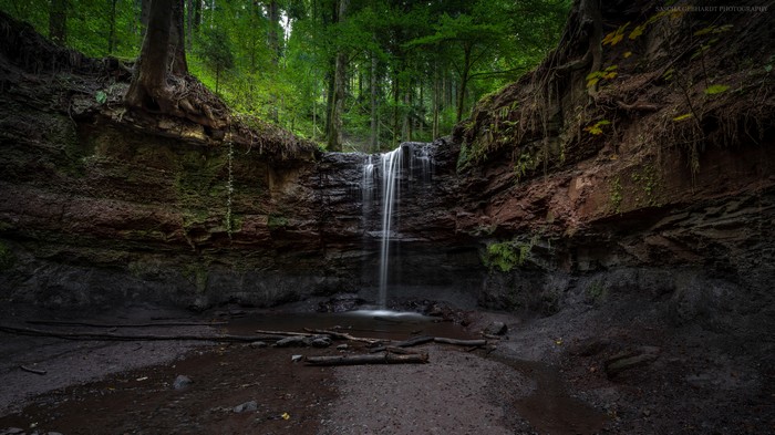 Serene Waterfall in a Lush Green Forest 4K
