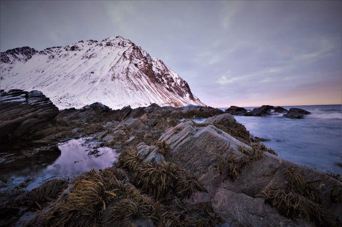 Snow-covered mountains and rocky shore at dusk