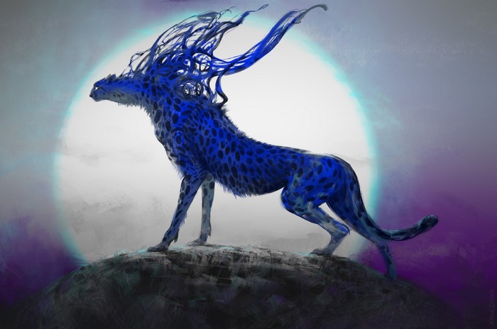Blue cheetah with flowing mane on a rock