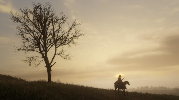 Red Dead Redemption 2: Cowboy on horseback at sunset