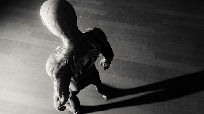 Spider-Man in Monochrome