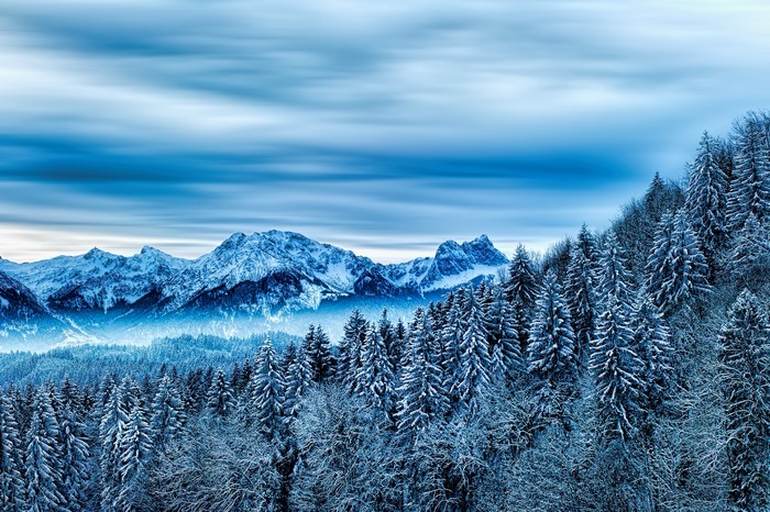 Snow-covered mountains and pine forest under a cloudy sky