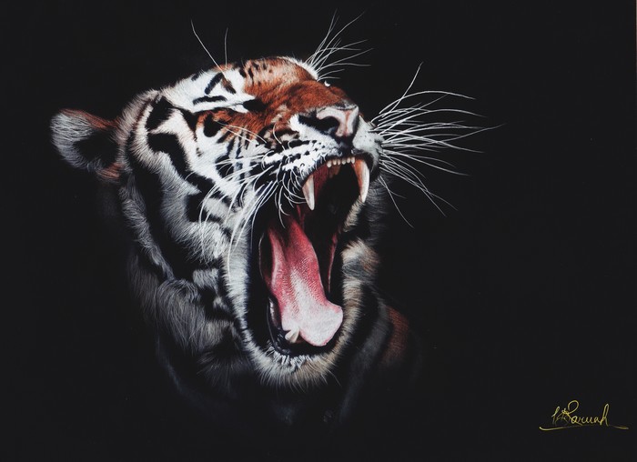 Tiger roaring with mouth wide open, digital art