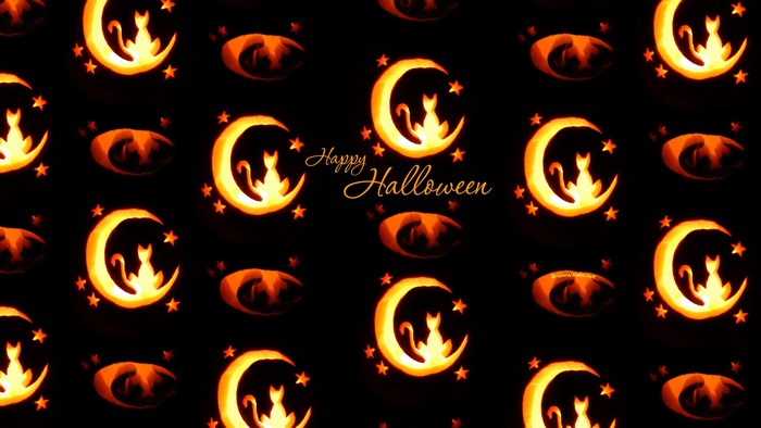 Happy Halloween carved pumpkins with cats and moons