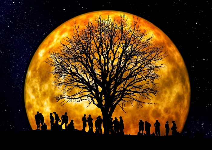 Silhouettes of people and a tree against a large orange moon