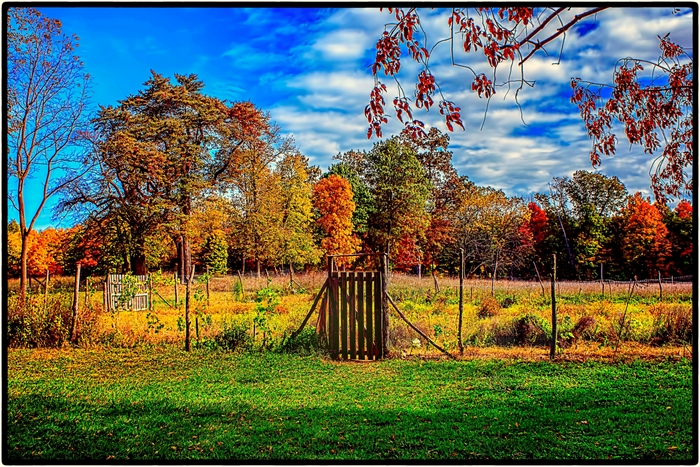 Autumn landscape with wooden gate and colorful trees