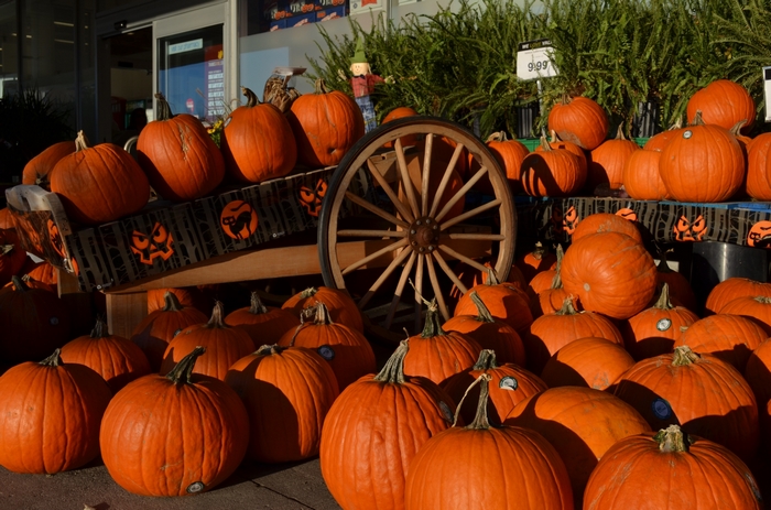 Pumpkins displayed for sale with a wagon wheel