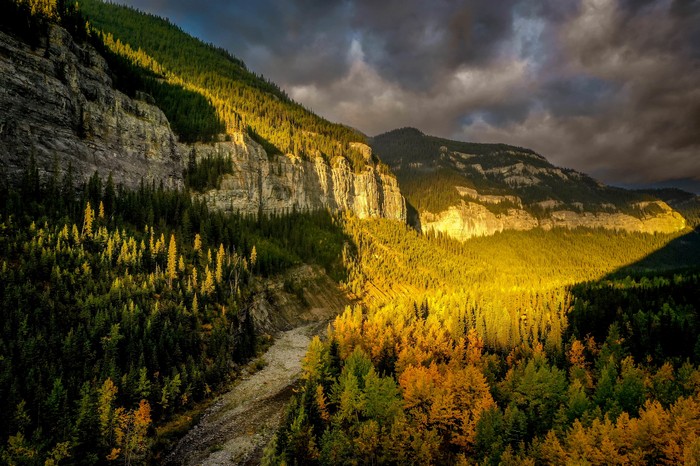 Mountain valley with forest and river at sunrise