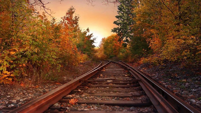 Train tracks in autumn forest at sunset