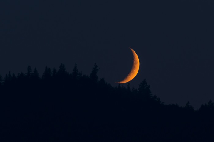 Crescent moon over a dark forest silhouette