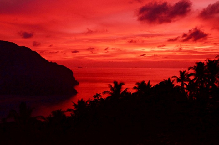 Red sky over ocean with palm trees at dusk