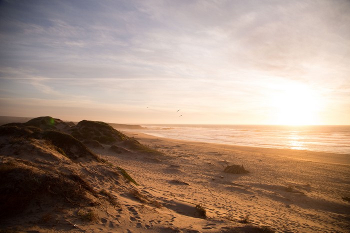 Beach dunes and ocean at sunset