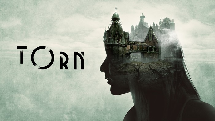 Torn Video Game