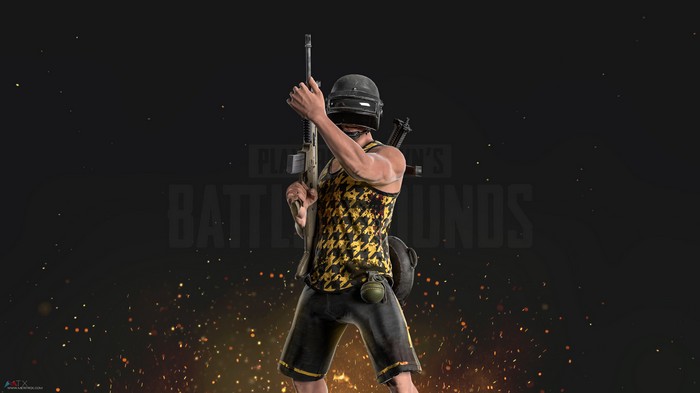 PlayerUnknown's Battlegrounds character with a rifle