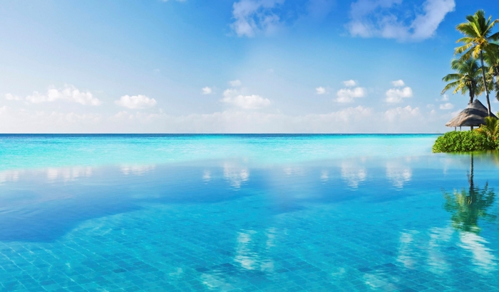 Infinity pool overlooking turquoise ocean with palm trees