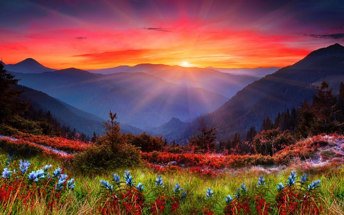 Sunset Over Vibrant Mountain Valley with Wildflowers