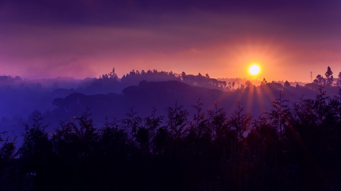 Sunrise over misty hills with silhouetted trees