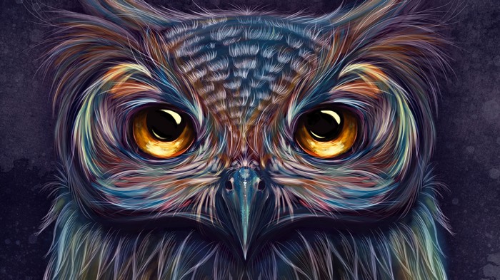 Colorful owl artwork 4K