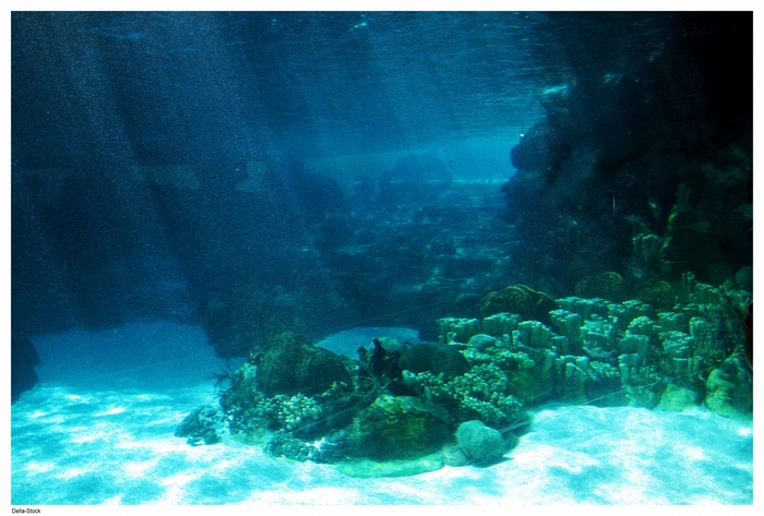 Underwater coral reef with sunbeams