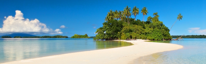 Tropical island with palm trees and white sand beach