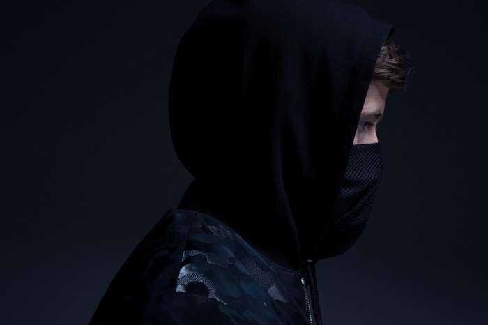 Alan Walker wearing a black hoodie and mask