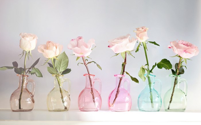 Six pastel roses in colorful glass vases