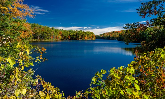 Lake surrounded by autumn trees under a blue sky