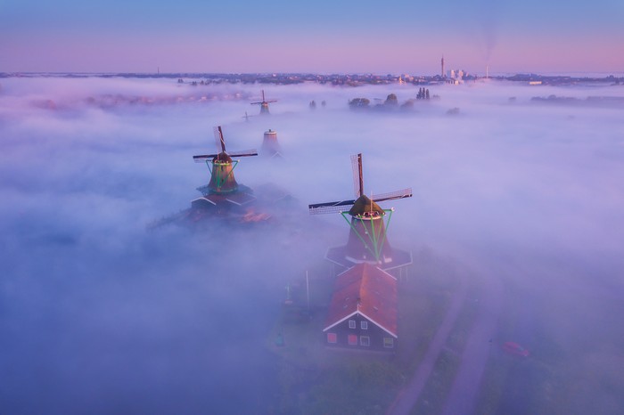 Windmills emerge from morning fog at sunrise