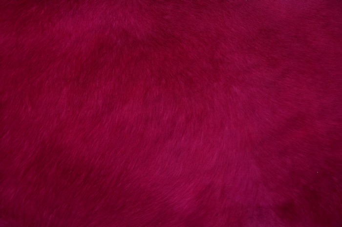 Crimson Fur Texture 4K