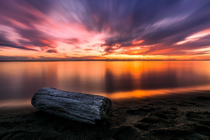 Driftwood on a beach at sunset with colorful clouds