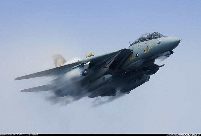 Grumman F-14 Tomcat Jet in Flight