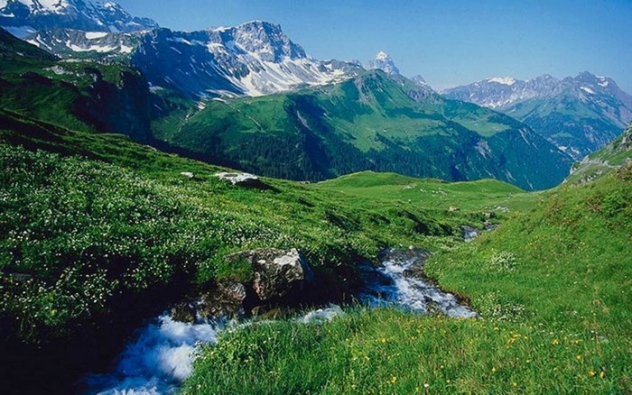 Green mountain valley with stream and snow-capped peaks