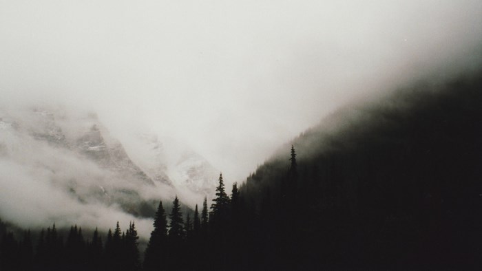 Misty mountains and dark forest
