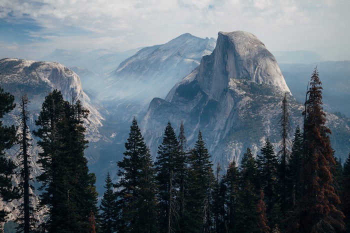 Half Dome and Yosemite Valley with Pine Trees