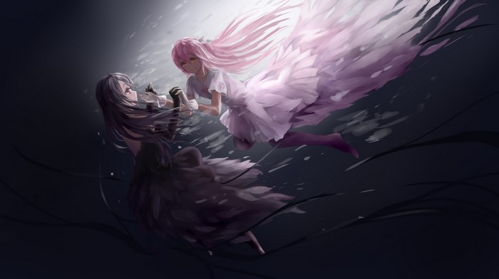 Madoka Kaname and Homura Akemi from Puella Magi Madoka Magica