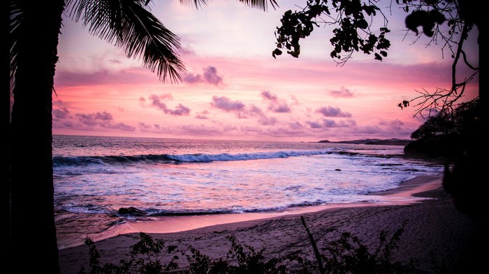 Ocean waves at sunset with palm trees