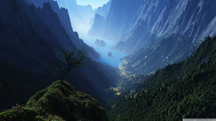 Misty Mountain Valley with Lake and Lone Tree