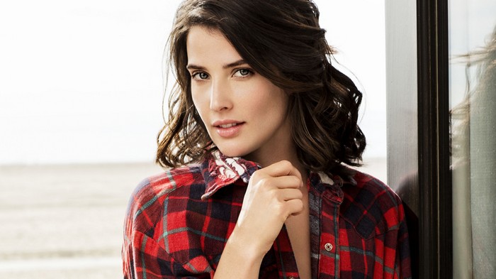 Cobie Smulders in a Red Plaid Shirt