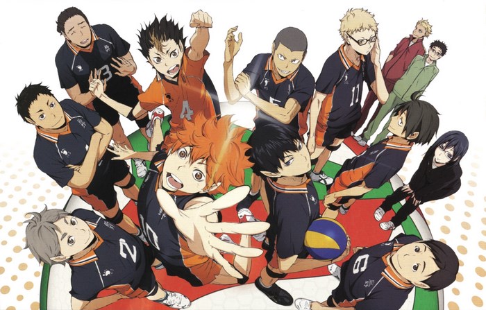Haikyuu Karasuno Volleyball Team Cheerfully Posed