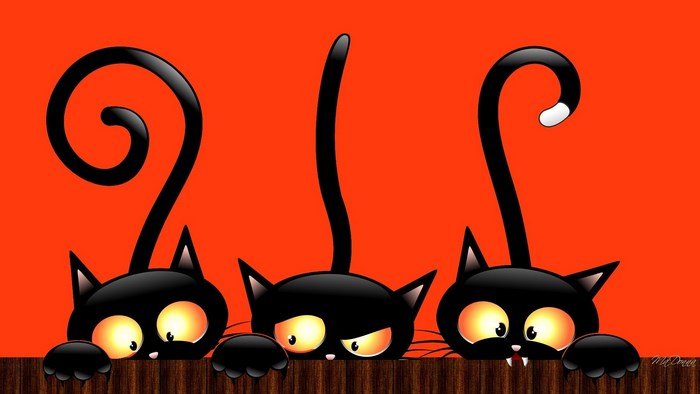 Three black cats peeking over a wooden fence