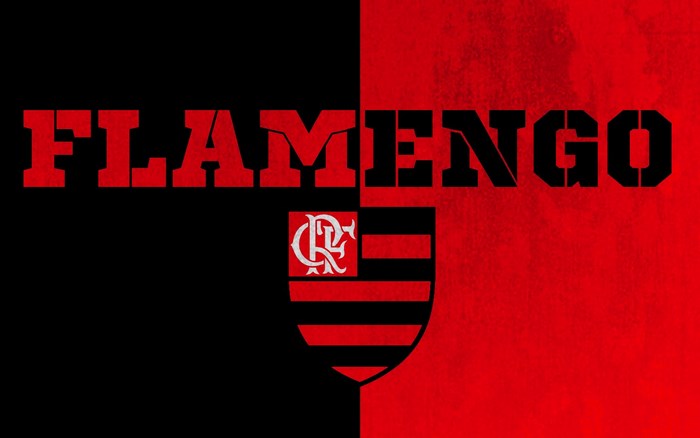 Clube de Regatas do Flamengo Logo Red and Black